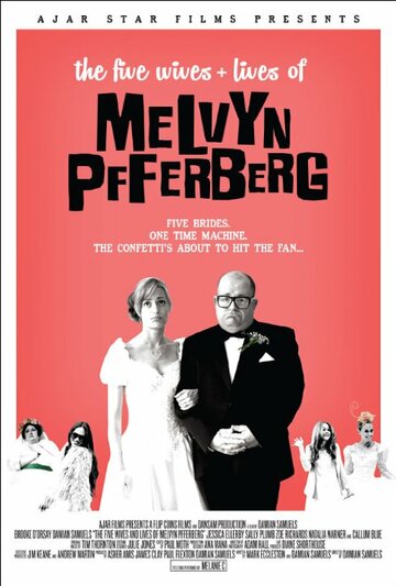 The Five Wives & Lives of Melvyn Pfferberg (2016)