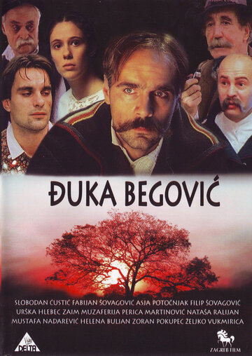 Djuka Begovic (1991)