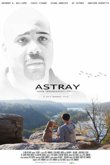 Astray (2014)
