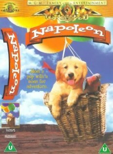 Napoleon (1994)