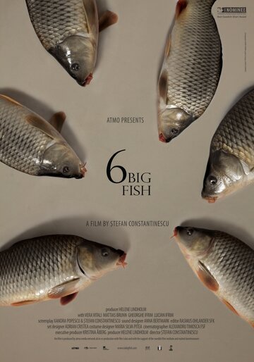 6 stora fiskar (2013)